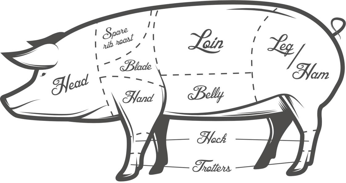 Схема разделки свиных туш. Схема разделки свиной туши вектор. Свинья разделка туши схема вектор. Схема разруба туши свинины. Схема разруба туши баранины.