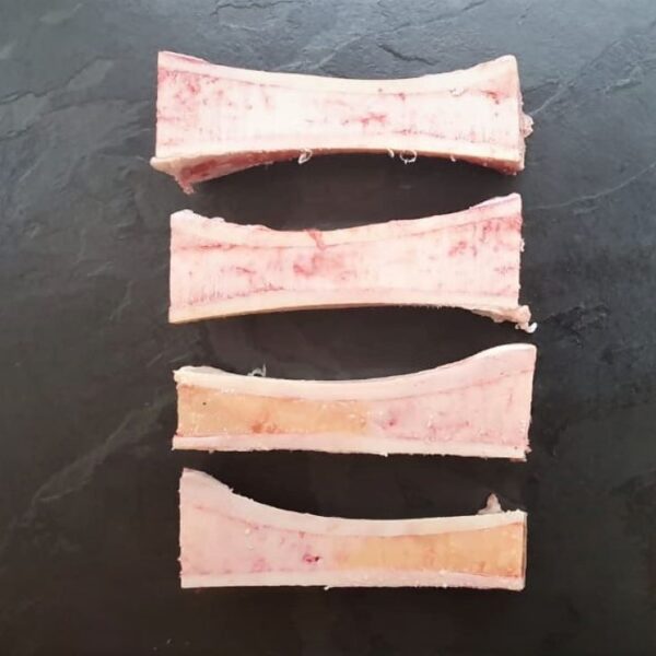 4 x Bone Marrow Shaft