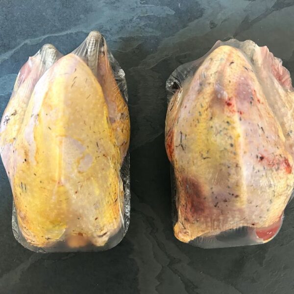 Brace of Pheasant